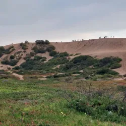 Parque Costa Concón - Concon