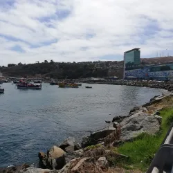 Paseo Bellamar - Concon