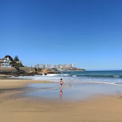 Playa Amarilla - Concon