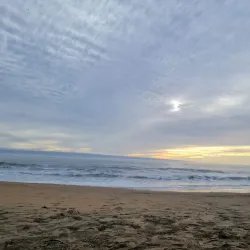 Playa Amarilla - Concon