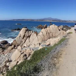 Playa Amarilla - Concon