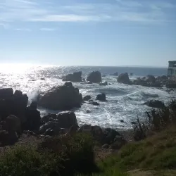 Playa Amarilla - Concon