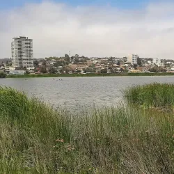 Reserva Natural Humedal de Concón - Concon