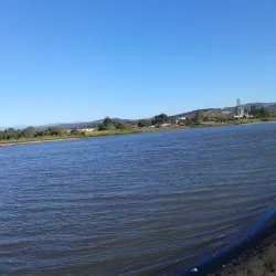 Reserva Natural Humedal de Concón - Concon