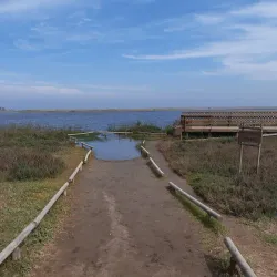 Reserva Natural Humedal de Concón - Concon