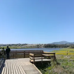 Reserva Natural Humedal de Concón - Concon