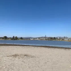 Reserva Natural Humedal de Concón - Concon