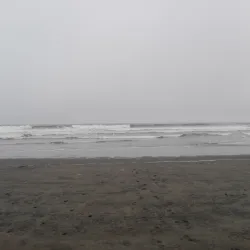 Reserva Natural Humedal de Concón - Concon