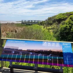 Reserva Natural Humedal de Concón - Concon