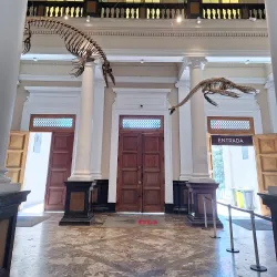 Museo de Historia Natural de Constitución - Constitución