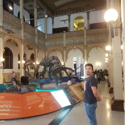 Museo de Historia Natural de Constitución - Constitución