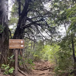 Parque Inglés - Constitución