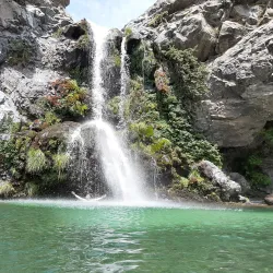 Parque Inglés - Constitución