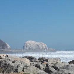 Paseo Costanera - Constitución