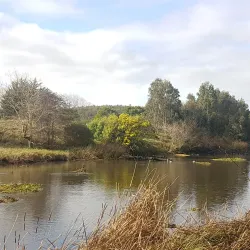 Playa Maule - Constitución