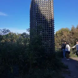Playa Maule - Constitución