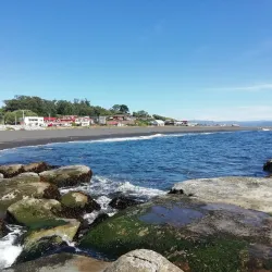 Playa Maule - Constitución