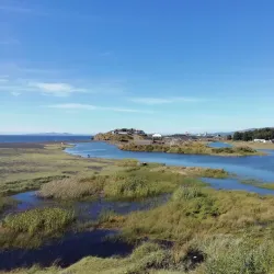 Playa Maule - Constitución