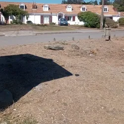 Playa Maule - Constitución