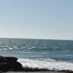 Playa Principal de Constitución - Constitución