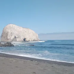 Playa Principal de Constitución - Constitución