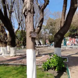 Plaza de Armas de Constitución - Constitución