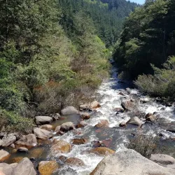 Reserva Nacional Los Ruiles - Constitución