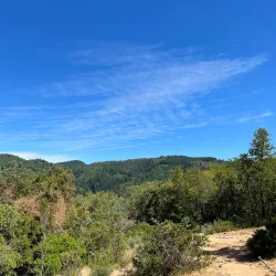 Reserva Nacional Los Ruiles - Constitución