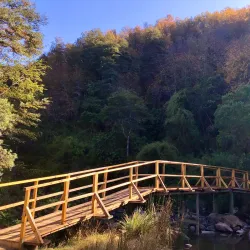 Reserva Nacional Los Ruiles - Constitución