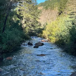 Reserva Nacional Los Ruiles - Constitución