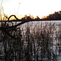 Parque Laguna Grande - Coronel