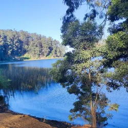 Parque Laguna Grande - Coronel