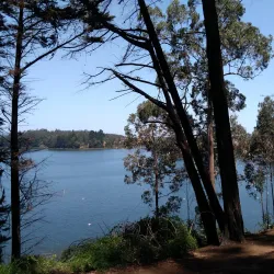 Parque Laguna Grande - Coronel