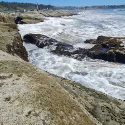 Playa Blanca - Coronel