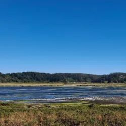 Playa Lenga - Coronel