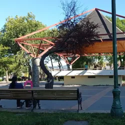 Plaza de Armas de Coronel - Coronel