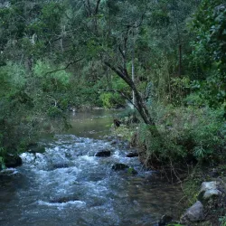 Reserva Nacional Nonguén - Coronel
