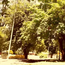 Iglesia San Francisco de Curicó - Curico