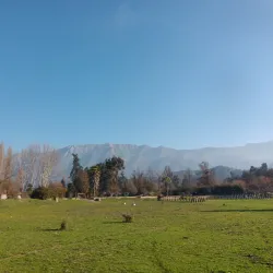 Laguna de Aculeo - Curico
