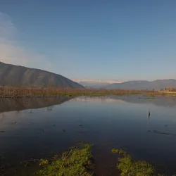 Laguna de Aculeo - Curico