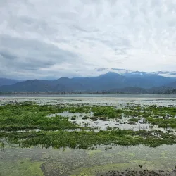 Laguna de Aculeo - Curico