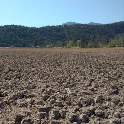 Laguna de Aculeo - Curico