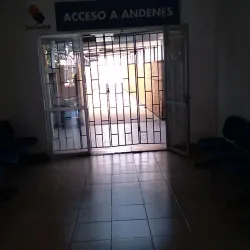 Parque Estación - Curico