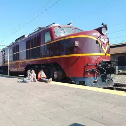 Parque Estación - Curico