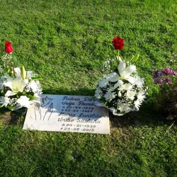 Parque Maule - Curico