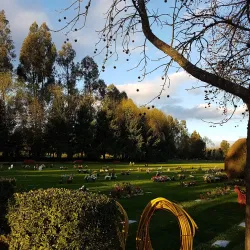 Parque Maule - Curico