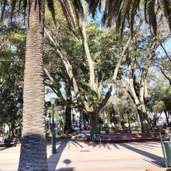 Plaza de Armas de Curicó - Curico