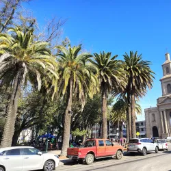 Plaza de Armas de Curicó - Curico