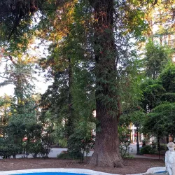 Plaza de Armas de Curicó - Curico