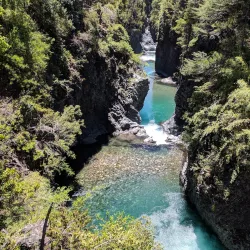 Reserva Nacional Radal Siete Tazas - Curico